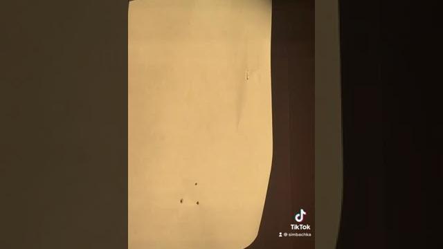 Впервые увидел солнечное затмение Впервые увидел солнечное затмение
