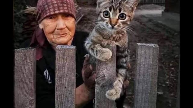 443 Ей не с кем оставить кота 443 Ей не с кем оставить кота