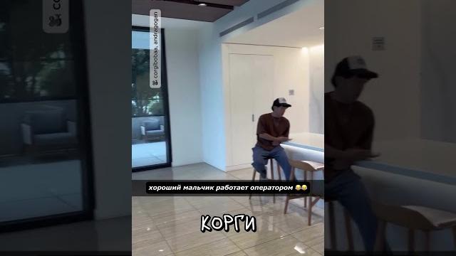 Корги Подрабатывает Оператором Корги Подрабатывает Оператором