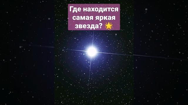 Где находится самая яркая звезда?#астрономия #созвездие #сириус #большойпёс #сурдин #космос #звезды Где находится самая яркая звезда?#астрономия #созвездие #сириус #большойпёс #сурдин #космос #звезды