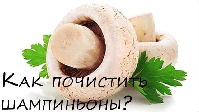 Как чистить шампиньоны Как чистить шампиньоны