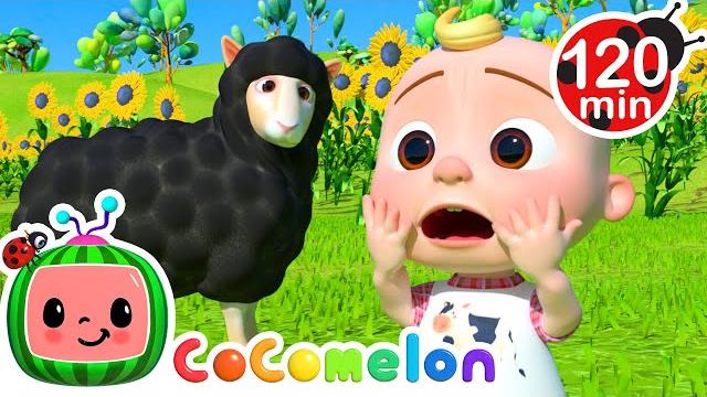 It's Baa Baa Black Sheep! + More Classic CoComelon Nursery Rhymes + Baby Songs for Kids It's Baa Baa Black Sheep! + More Classic CoComelon Nursery Rhymes + Baby Songs for Kids
