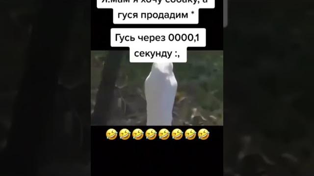 #гусь#прикол#академиг#fyp#гдетонапросторахсети #гусь#прикол#академиг#fyp#гдетонапросторахсети