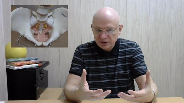 1 минута от непроизвольного мочеиспускания. Упражнение. 1 минута от непроизвольного мочеиспускания. Упражнение.
