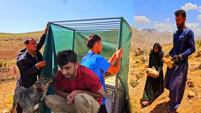 Building a Wilderness Toilet in the Mountains ️ | Incredible Moments of Nomadic Life Building a Wilderness Toilet in the Mountains ️ | Incredible Moments of Nomadic Life