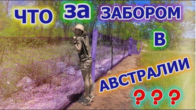 Мы побывали за ЗАБОРОМ в Австралии ! ТАЙНЫ АВСТРАЛИИ Мы побывали за ЗАБОРОМ в Австралии ! ТАЙНЫ АВСТРАЛИИ