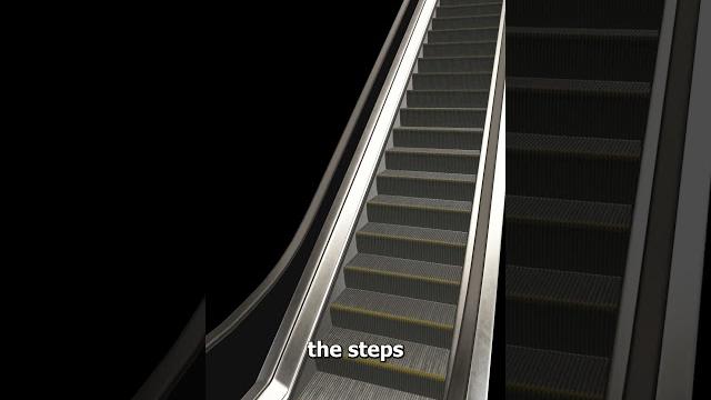 Why Escalators Have Brushes On The Side Why Escalators Have Brushes On The Side