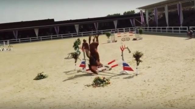 Правда о съемке фильма Мой любимый чемпион Правда о съемке фильма Мой любимый чемпион