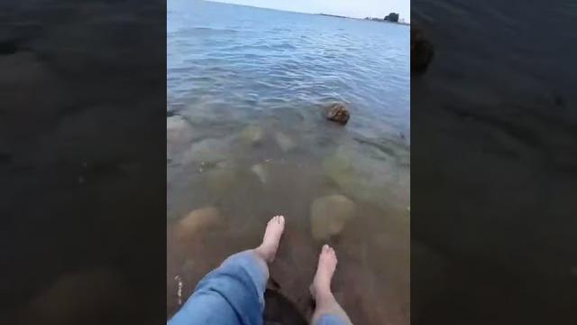 Море) #shorts #море #океан #отдых #отпуск #лето #tiktok #топ #приколы #природа #санктпетербург #спб Море) #shorts #море #океан #отдых #отпуск #лето #tiktok #топ #приколы #природа #санктпетербург #спб