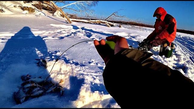 В ЭТИХ КОРЯГАХ РЫБА СЛОЯМИ СТОИТ!!Рыбалка на Оби с ночевкой, безмотылка. Плотва,лещ,окунь. В ЭТИХ КОРЯГАХ РЫБА СЛОЯМИ СТОИТ!!Рыбалка на Оби с ночевкой, безмотылка. Плотва,лещ,окунь.