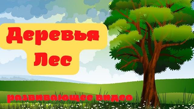 ДЕРЕВЬЯ. ЛЕС. Изучаем лиственные и хвойные деревья. Развивающее видео. Листья деревьев. ДЕРЕВЬЯ. ЛЕС. Изучаем лиственные и хвойные деревья. Развивающее видео. Листья деревьев.