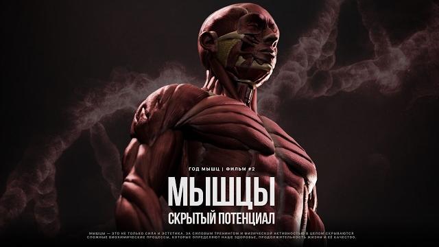 КАК ТРЕНИРОВКИ МЕНЯЮТ ТЕБЯ ИЗНУТРИ. От мозга и психики до иммунитета и гормонов. Год Мышц | Фильм #2 КАК ТРЕНИРОВКИ МЕНЯЮТ ТЕБЯ ИЗНУТРИ. От мозга и психики до иммунитета и гормонов. Год Мышц | Фильм #2
