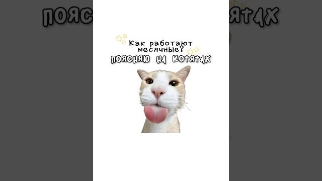 Как работают месячные? Как работают месячные?