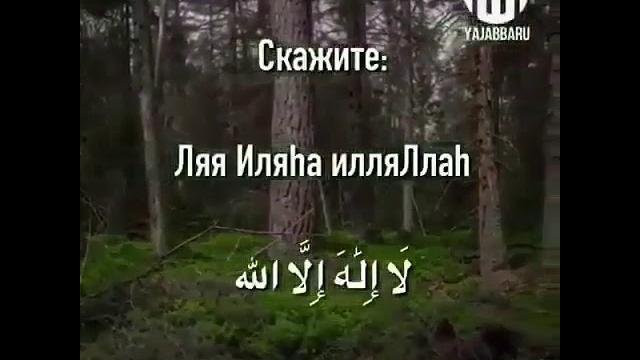 Мудрость жизни. Аллах Акбар Мудрость жизни. Аллах Акбар