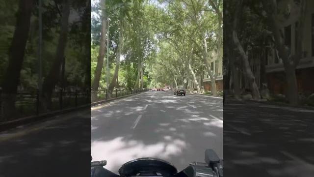 samarqand bulvar samarqand bulvar