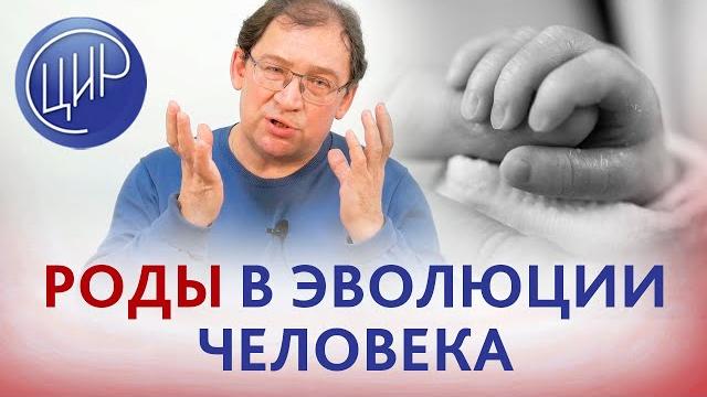 Эволюция человека. Почему ребёнок рождается незрелым. Современное акушерство и его последствия. Эволюция человека. Почему ребёнок рождается незрелым. Современное акушерство и его последствия.