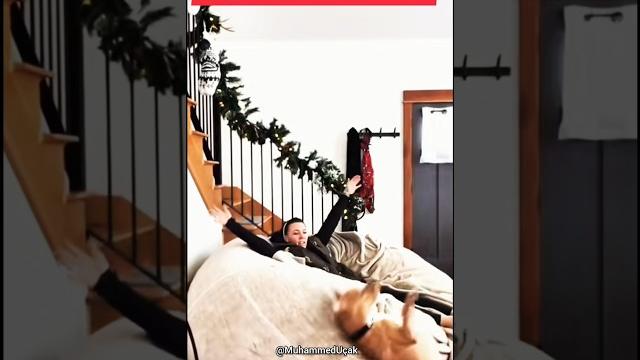 неуклюжие собаки #cats #юмор #dog #dogs #funnycats #прикол #веселыекоты #funny #cat #собака #юмор неуклюжие собаки #cats #юмор #dog #dogs #funnycats #прикол #веселыекоты #funny #cat #собака #юмор