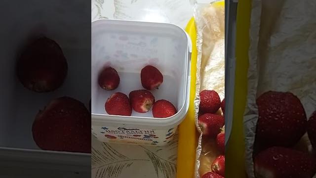 Как сохранять клубнику на зиму? Как сохранять клубнику на зиму?