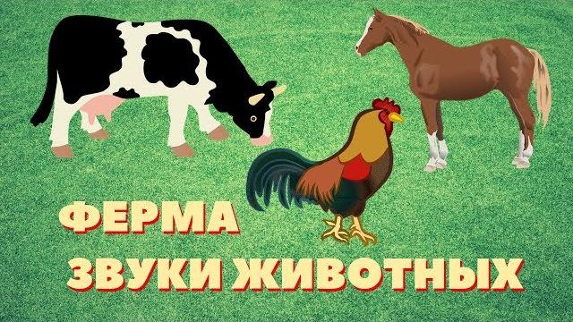 Звуки животных на ферме: Индюк, Петух, Свинья, Корова, Овца, Осел Лошадь и Гусь Развивающие мультики Звуки животных на ферме: Индюк, Петух, Свинья, Корова, Овца, Осел Лошадь и Гусь Развивающие мультики
