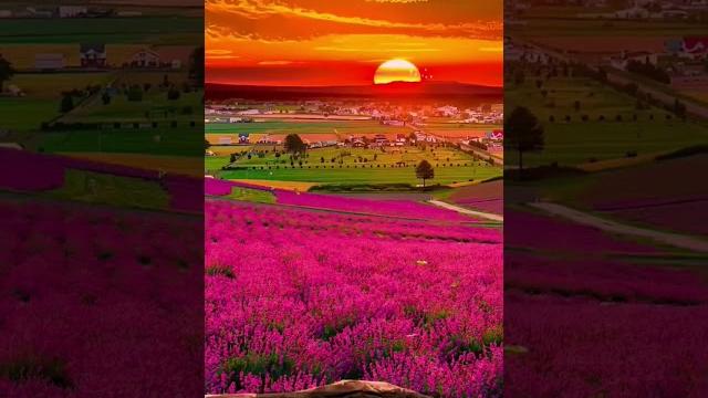 природа природа