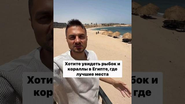 Хотите увидеть рыбок и кораллы в Египте? Хотите увидеть рыбок и кораллы в Египте?
