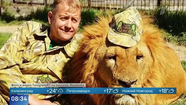 Первый канал про нападение льва на Олега Зубкова (основателя крымского сафари-парка львов Тайган) Первый канал про нападение льва на Олега Зубкова (основателя крымского сафари-парка львов Тайган)