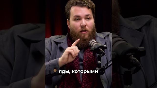 На вкус ты их не определишь, а как тогда понять На вкус ты их не определишь, а как тогда понять