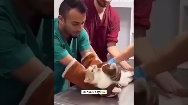Зачем вы меня сюда привели.. Зачем вы меня сюда привели..