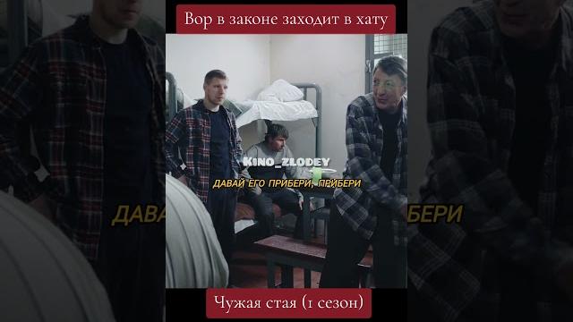 Сериал: Чужая стая (1 сезон) #кино #сериал #фильм Сериал: Чужая стая (1 сезон) #кино #сериал #фильм