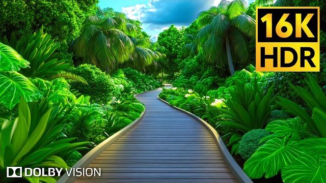 16K Video ULTRA HD - 16K HDR 120fps Dolby Vision | 8K Earth 16K Video ULTRA HD - 16K HDR 120fps Dolby Vision | 8K Earth