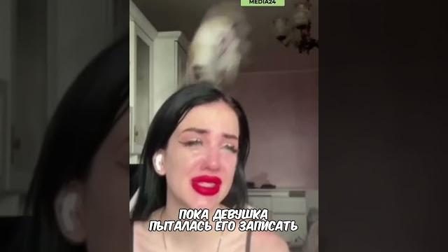 Вот Как Выглядит Жизнь С Обезьяной! #shorts Вот Как Выглядит Жизнь С Обезьяной! #shorts