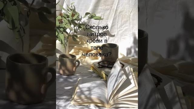 Сколько литров крови в теле человека Сколько литров крови в теле человека