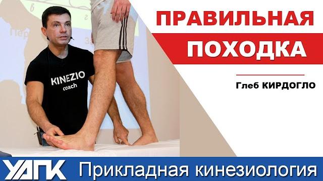Где искать нарушения шага? (Глеб Кирдогло) Где искать нарушения шага? (Глеб Кирдогло)