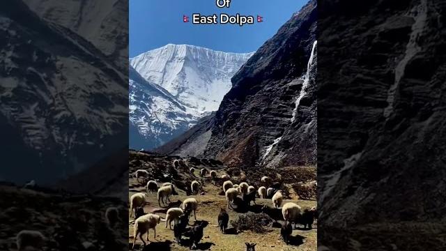 Mt. Dhaulagiri from Dolpa #travel #ruralarea #explorenepal #mountains #ruralvillage #nature #travel Mt. Dhaulagiri from Dolpa #travel #ruralarea #explorenepal #mountains #ruralvillage #nature #travel