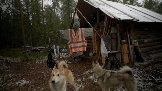 We live in the taiga 2. We eat what we get, catch a bully bear. Got it.... We live in the taiga 2. We eat what we get, catch a bully bear. Got it....