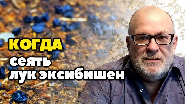 Когда сеять лук Эксибишен на рассаду | Когда и как я сею семена лука Эксибишен на рассаду Когда сеять лук Эксибишен на рассаду | Когда и как я сею семена лука Эксибишен на рассаду