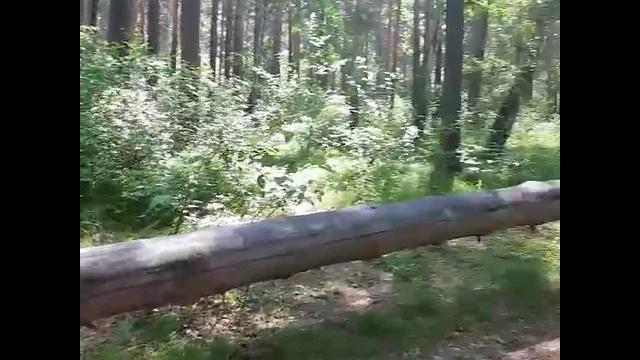 Скибо ты всё к х@ям сведешь Скибо ты всё к х@ям сведешь