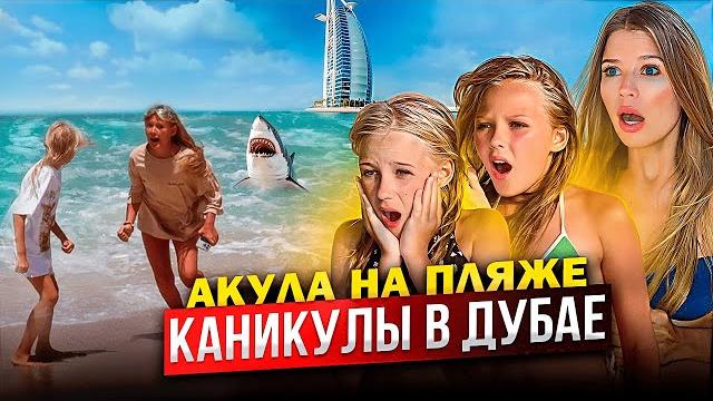 КАНИКУЛЫ в ДУБАЕ ! АКУЛА на ПЛЯЖЕ ! КАНИКУЛЫ в ДУБАЕ ! АКУЛА на ПЛЯЖЕ !
