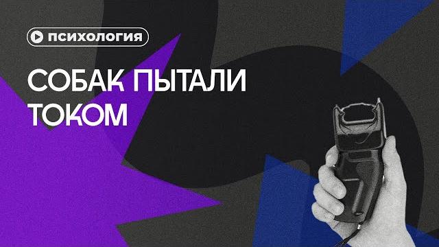Самые жестокие психологические эксперименты Самые жестокие психологические эксперименты
