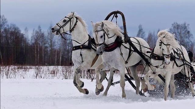 "Трудно в деревне у нас"хит 2020 "Трудно в деревне у нас"хит 2020