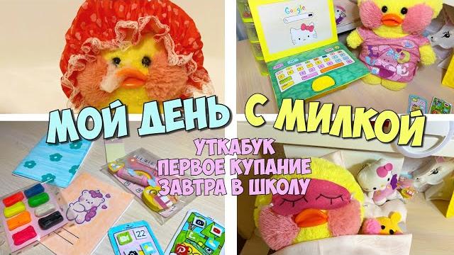 НОУТБУК для уточки ЛАЛАФАНФАН | Мой день с уточкой Милкой - разбираем канцелярию, уроки, купание НОУТБУК для уточки ЛАЛАФАНФАН | Мой день с уточкой Милкой - разбираем канцелярию, уроки, купание