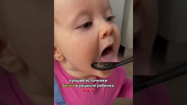 ЛУЧШИЕ ИСТОЧНИКИ БЕЛКА ДЛЯ РЕБЕНКА ЛУЧШИЕ ИСТОЧНИКИ БЕЛКА ДЛЯ РЕБЕНКА