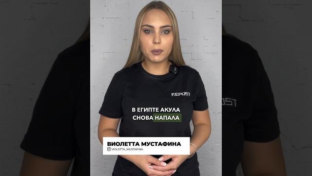 В Египте акула снова напала на человека В Египте акула снова напала на человека