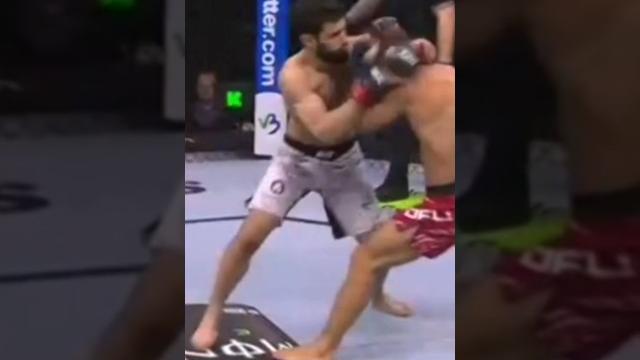 UFC Мухаммад Наимов лучшие моменты боя UFC Мухаммад Наимов лучшие моменты боя