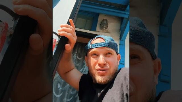 ЛЕТО ВСЁ (смешное видео, юмор, приколы поржать) ЛЕТО ВСЁ (смешное видео, юмор, приколы поржать)