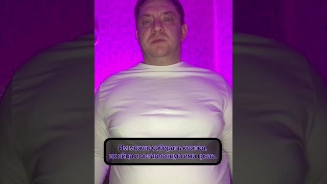 чего боятся Клопы чего боятся Клопы