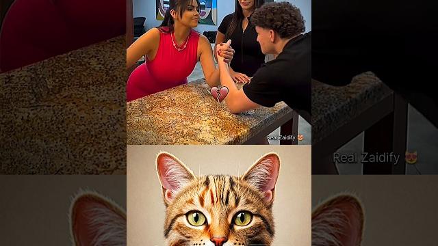give this video title (warning answer) #cat #meme #dance give this video title (warning answer) #cat #meme #dance