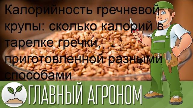 Калорийность гречневой крупы: сколько калорий в тарелке гречки, приготовленной разными способами Калорийность гречневой крупы: сколько калорий в тарелке гречки, приготовленной разными способами