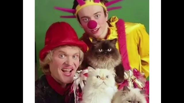 1 марта - день кошек! 1 марта - день кошек!