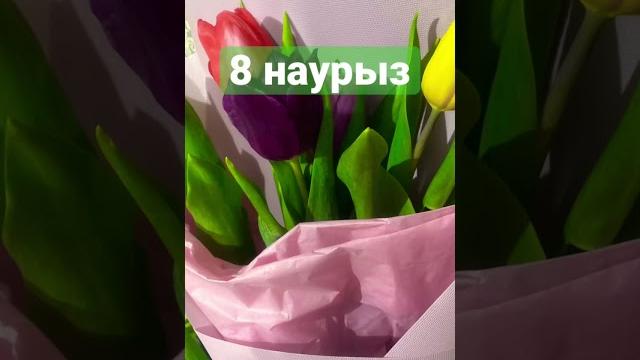 8 наурыз 8 наурыз